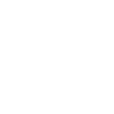 Passenger Services